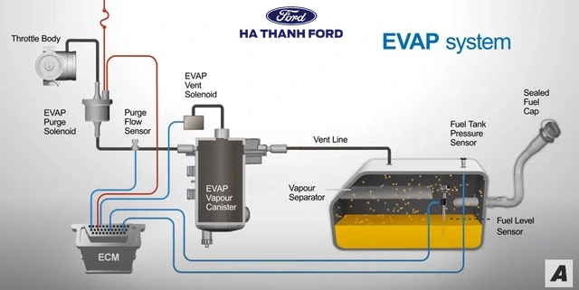 Hệ thống EVAP giúp bình nhiên liệu ô tô luôn kín, rất khó có khả năng xăng E10 tách nước làm hỏng động cơ Hệ thống EVAP giúp bình nhiên liệu ô tô luôn kín, rất khó có khả năng xăng E10 tách nước làm hỏng động cơ